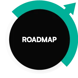 roadmap